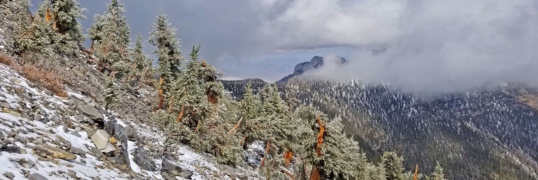 View Toward Mummy's Head Totally Obscured by Clouds | Charleston Peak Loop October Snow Dusting | Mt. Charleston Wilderness | Spring Mountains, Nevada