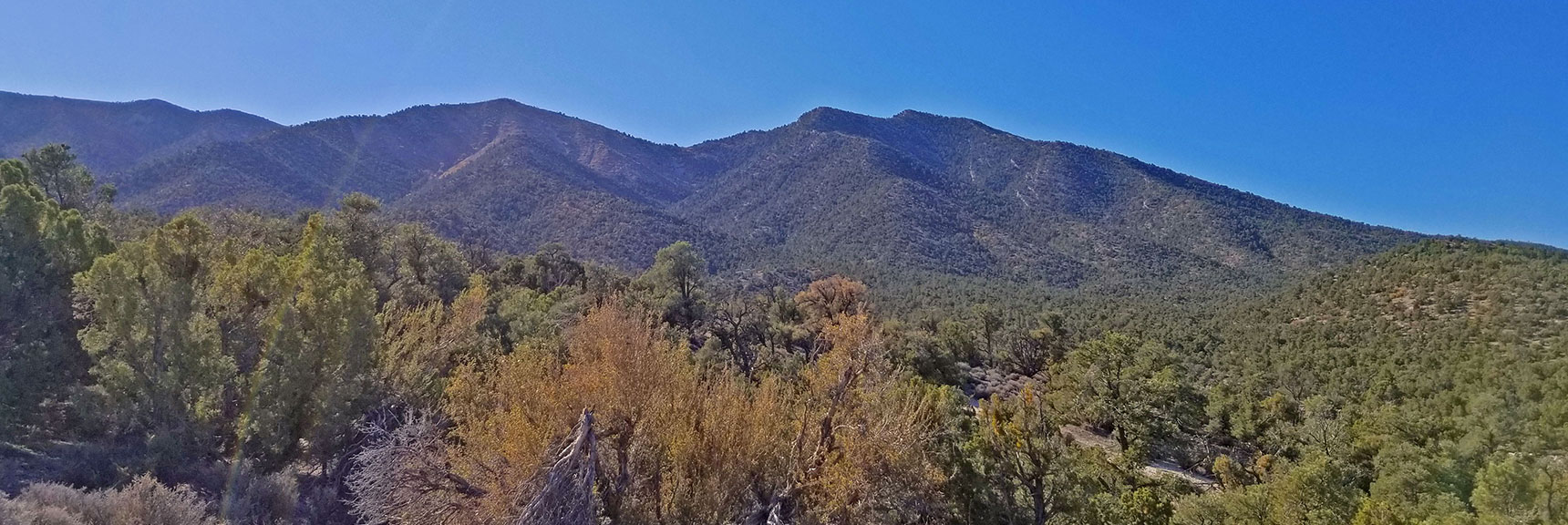 Burnt Peak and El Bastardo Mt. Viewed from End of 4WD Approach Road | La Madre Mountain,, El Padre Mountain, Burnt Peak | La Madre Mountains Wilderness, Nevada