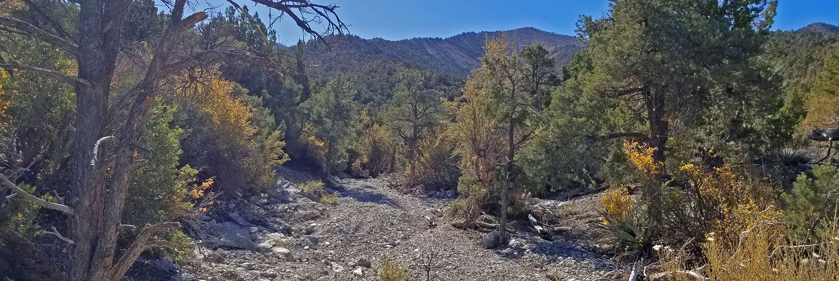 Mike Alcorn Trail in La Madre Mountain Approach Wash | La Madre Mountain,, El Padre Mountain, Burnt Peak | La Madre Mountains Wilderness, Nevada