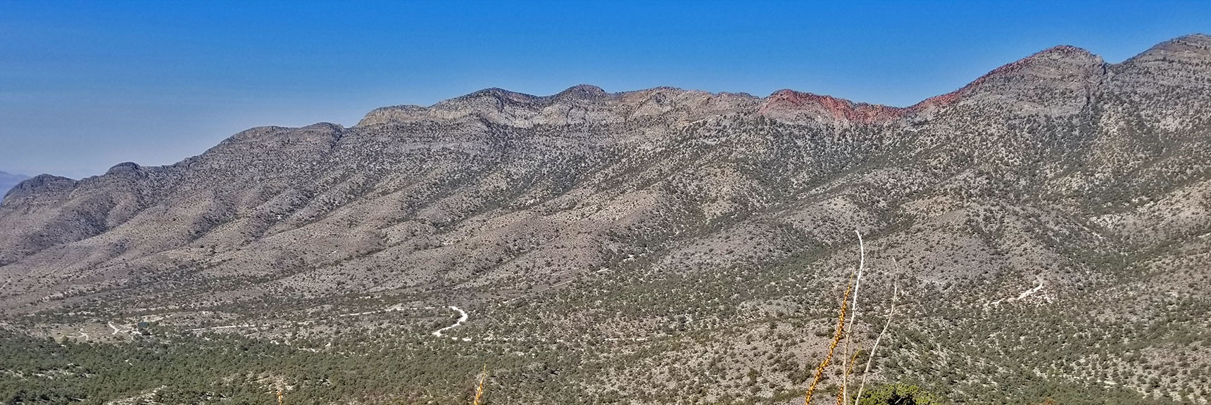 View Across Potosi Canyon from Popular Summit Approach Ridge | Potosi Mountain Northwestern Approach, Spring Mountains, Nevada