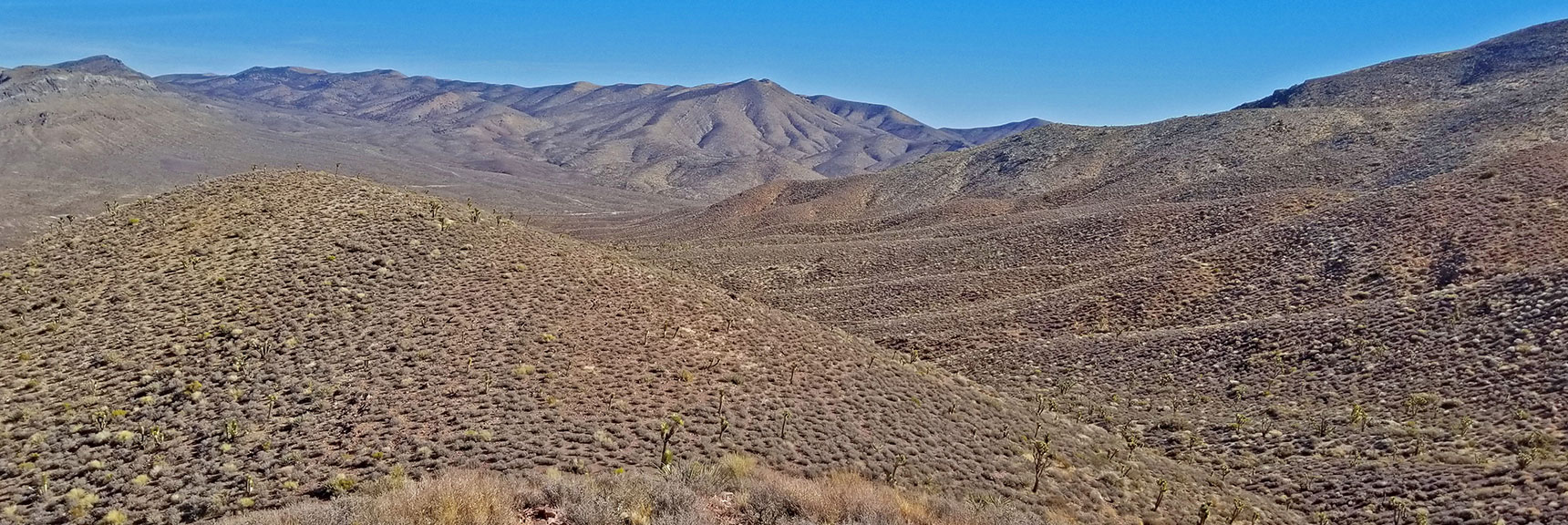 Decision Point After Many Ridges and Canyons. Turn Back or Continue Up? | Gass Peak Grand Crossing | Desert National Wildlife Refuge to Centennial Hills Las Vegas via Gass Peak Summit by Foot