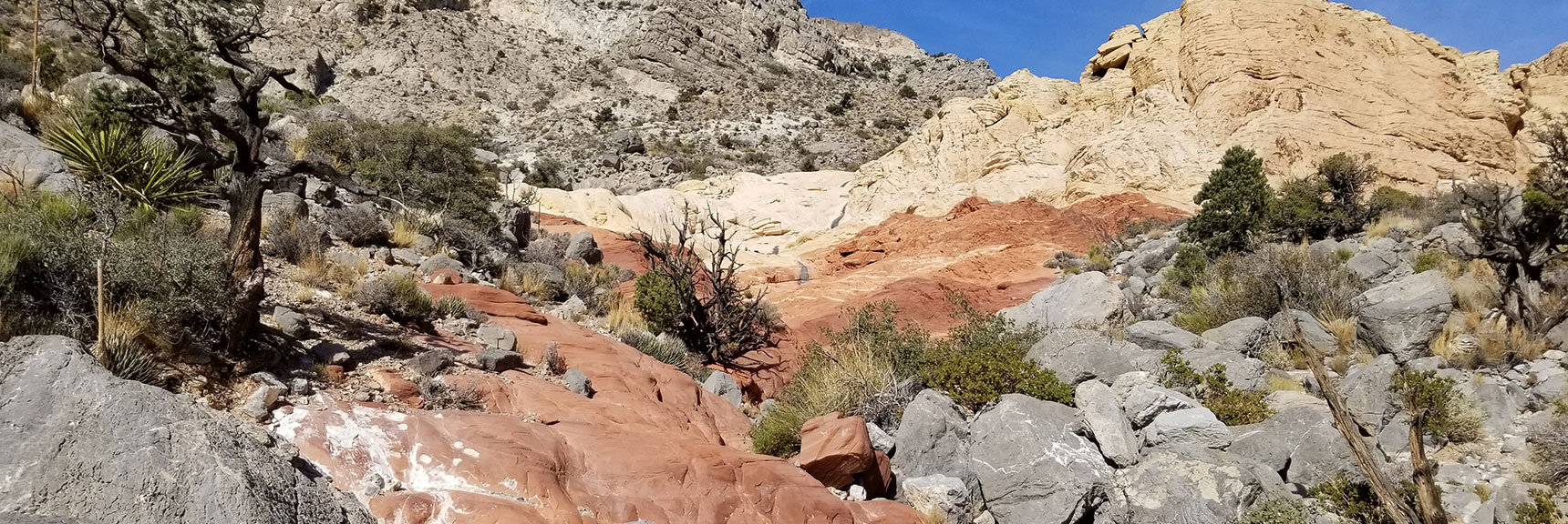 Artistic Placement of Dunes, Rocks and Plant Life | Kraft Mountain, Gateway Canyon Loop, Calico Basin, Nevada