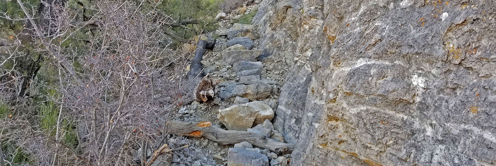 Well Constructed Rock Stairway on Potosi Mt Northern Cliffs Trail. Took a Lot of Heavy Work! | Potosi Mountain Northern Cliffs Trail | Spring Mountains, Nevada