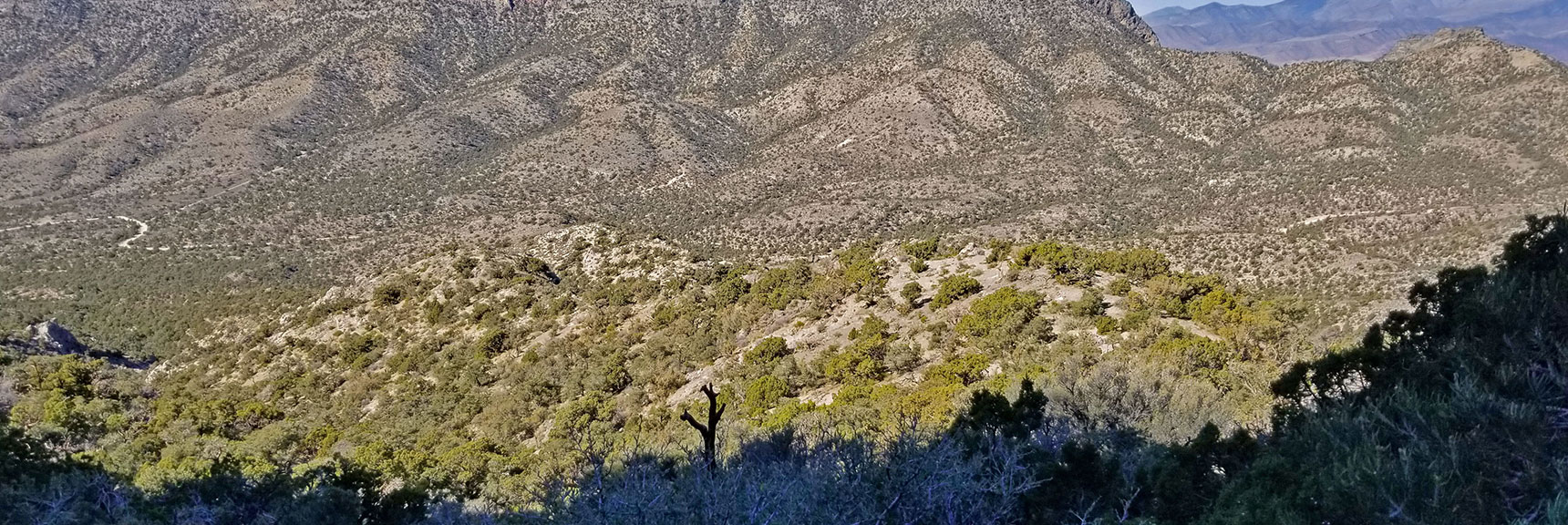 View Back Down Approach Ridge Toward Potosi Canyon Rd | Potosi Mountain Northern Cliffs Trail | Spring Mountains, Nevada