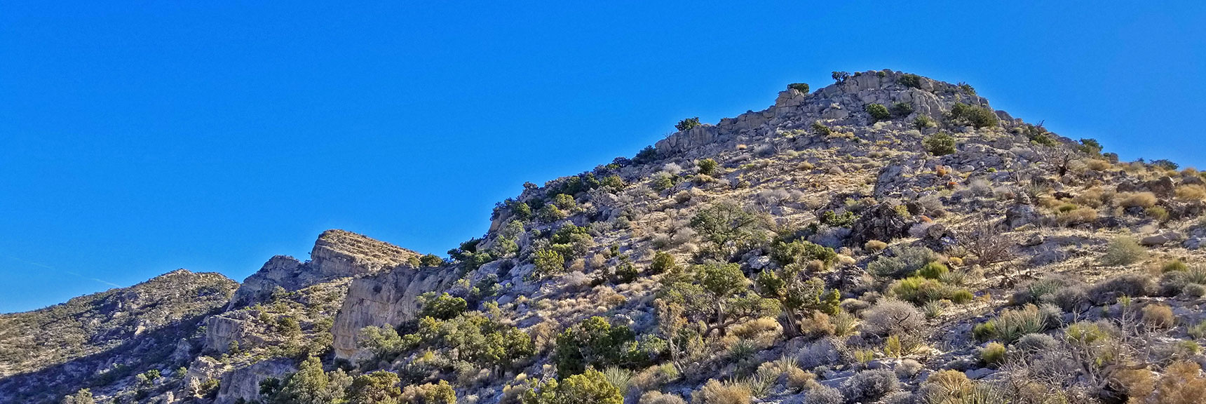 View Up Toward the First Bluff to Navigate (left around the cliff headwall) | Potosi Mt. Summit via Western Cliffs Ridgeline, Spring Mountains, Nevada