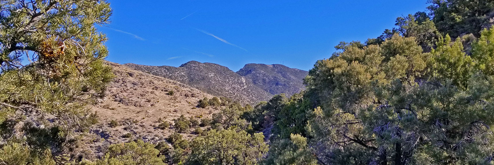 Rounding the First Bluff. View of Potosi Mt. Summit and Intervening Cliffline Appears | Potosi Mt. Summit via Western Cliffs Ridgeline, Spring Mountains, Nevada