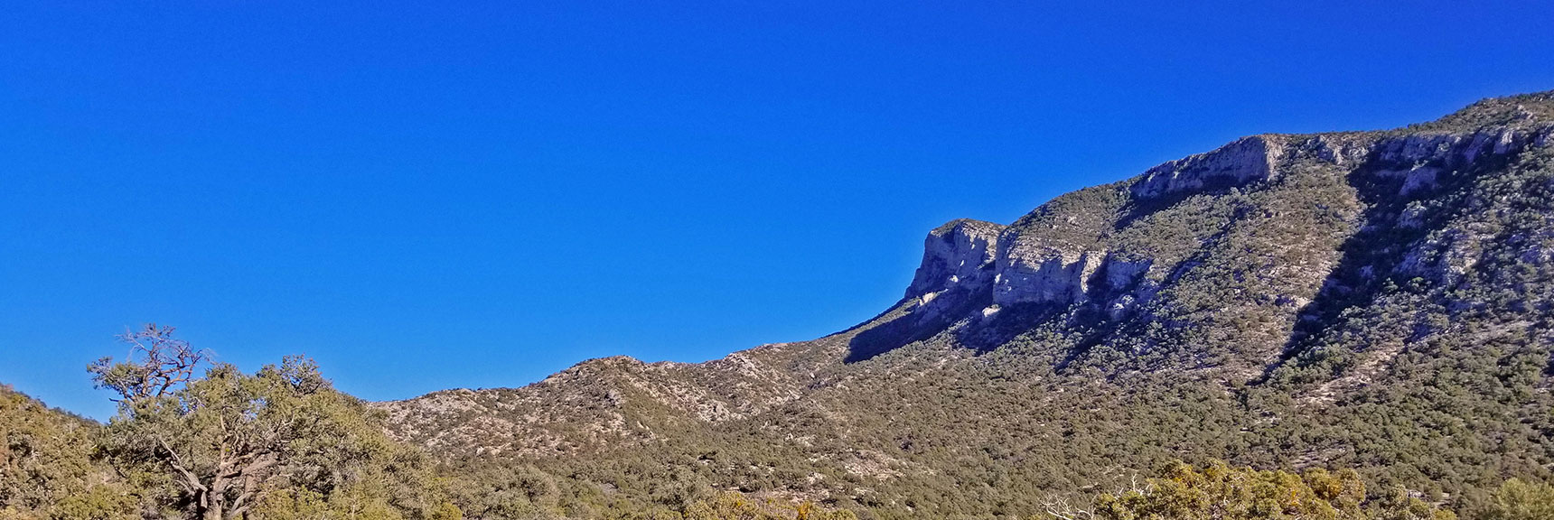 Western Cliff Approach Ridge Meets Cliff Line at Potosi North Trail | Potosi Mt. Summit via Western Cliffs Ridgeline, Spring Mountains, Nevada