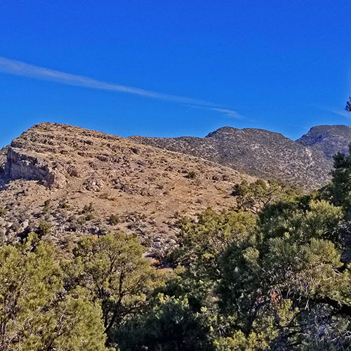 Potosi Mt. Summit via Western Cliffs Ridgeline, Spring Mountains, Nevada