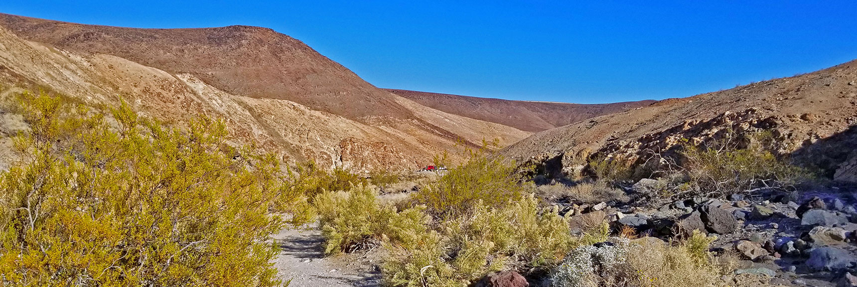View Back Down the Canyon to the Trailhead. Note How the Vegetation Thins Out Below | Darwin Falls, Death Valley National Park, California