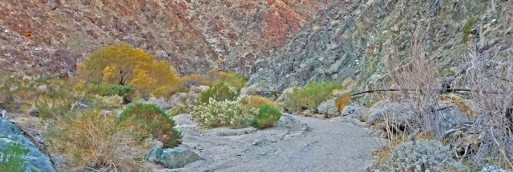 Continuing on the Right Side of the Canyon Near the Water Pipe. | Darwin Falls, Death Valley National Park, California