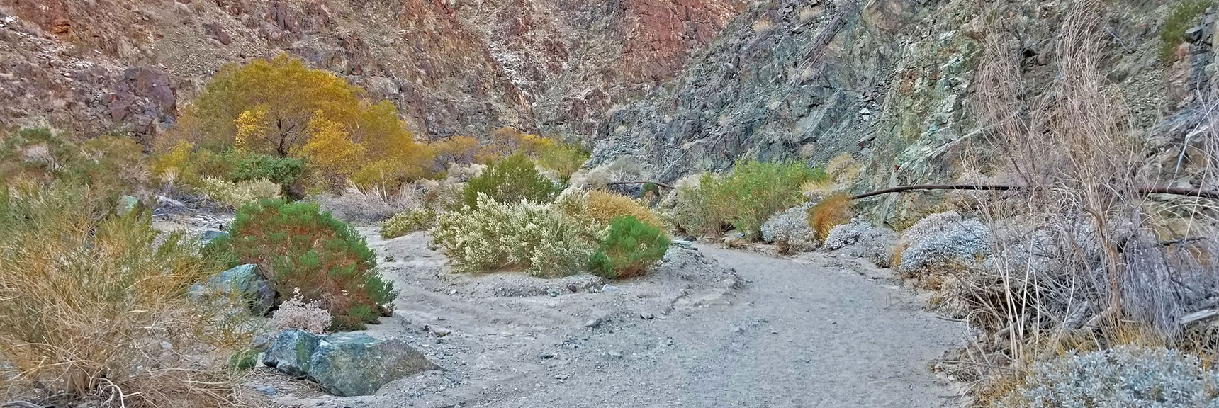 Continuing Up the Canyon, Along the Pipe That is the Water Source for Panamint Springs Village. | Darwin Falls, Death Valley National Park, California