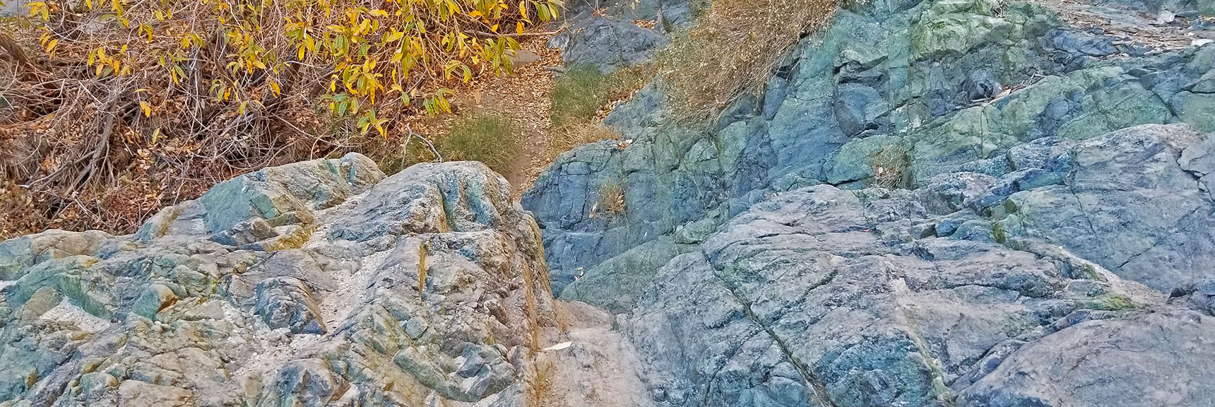 There are a Number of Rock Scrambles Along the Way Near the Falls. | Darwin Falls, Death Valley National Park, California