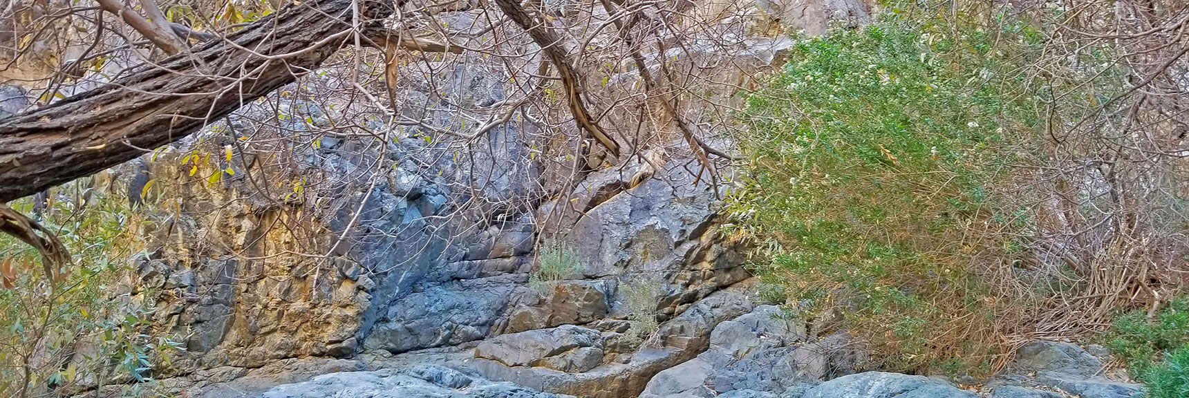 Another Stream Crossing. Second Rock Scramble Ahead. | Darwin Falls, Death Valley National Park, California