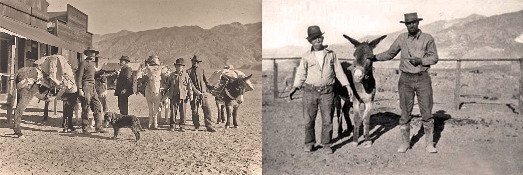 Shorty Harris, Old Time California Gold Prospector | Eureka Mine, Harrisburg, Cashier Mill, Death Valley, California