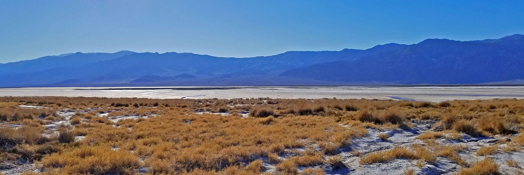 Salt Grass Zone at the Edge of Death Valley's Salt Flat | Return of Lake Manly (Lake in Death Valley) | Death Valley National Park, California