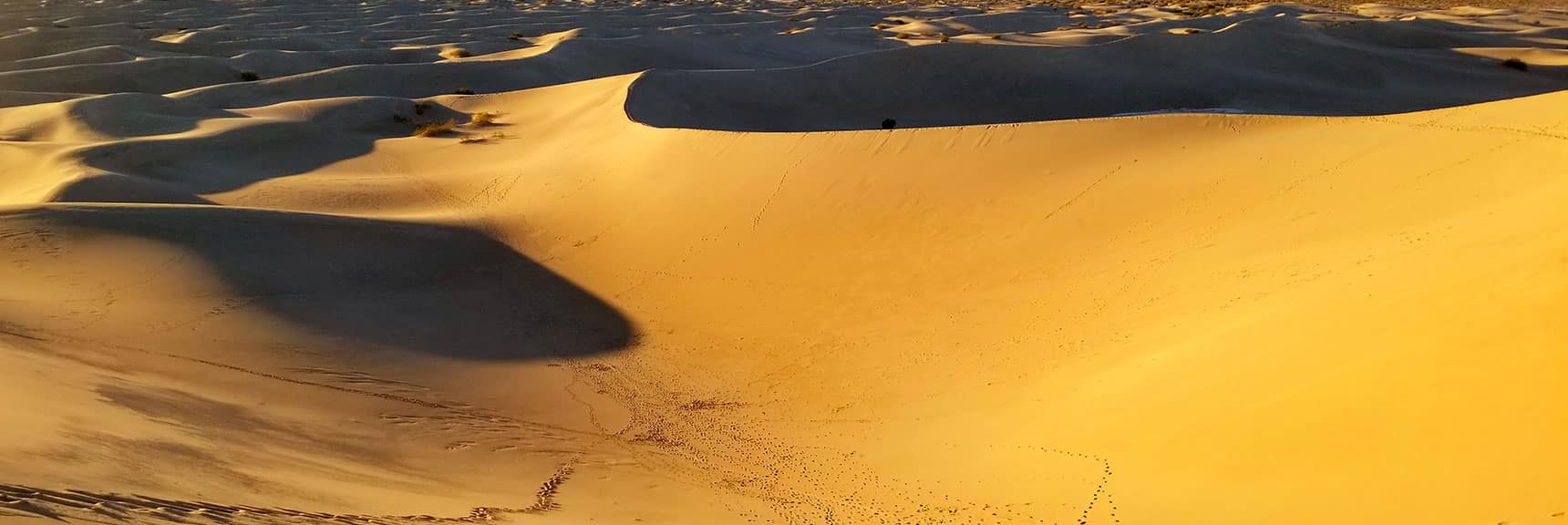 View Southwest | Mesquite Sand Dunes Sunrise | Death Valley National Park, California