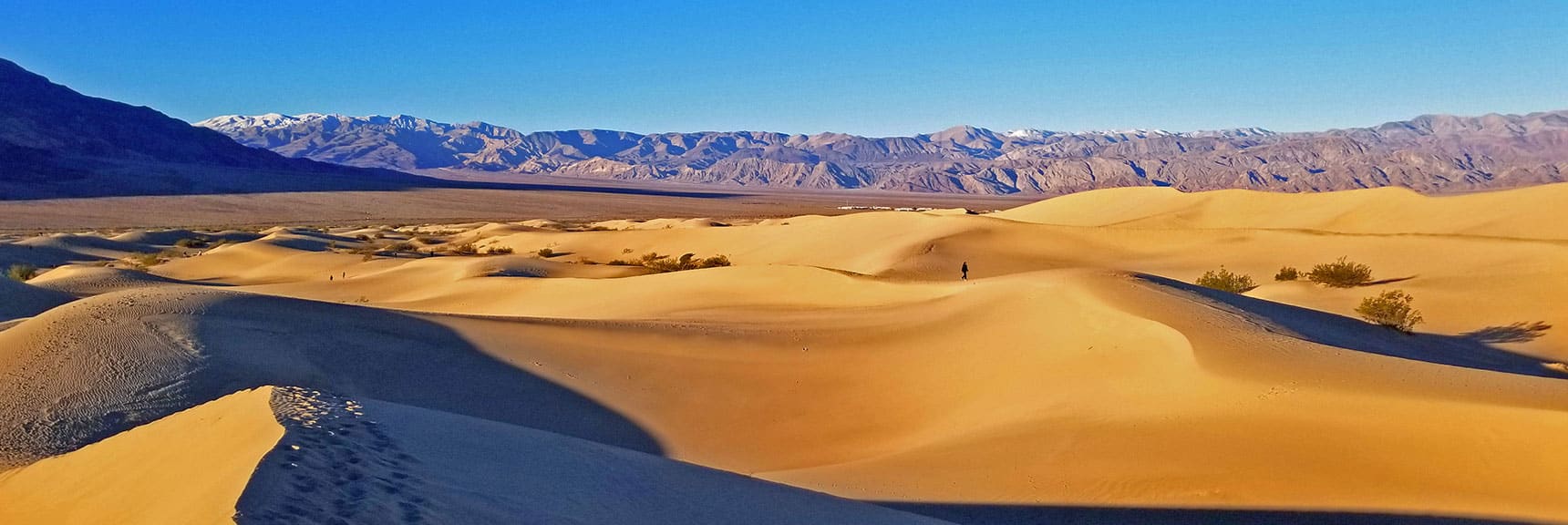 View West | Mesquite Sand Dunes Sunrise | Death Valley National Park, California