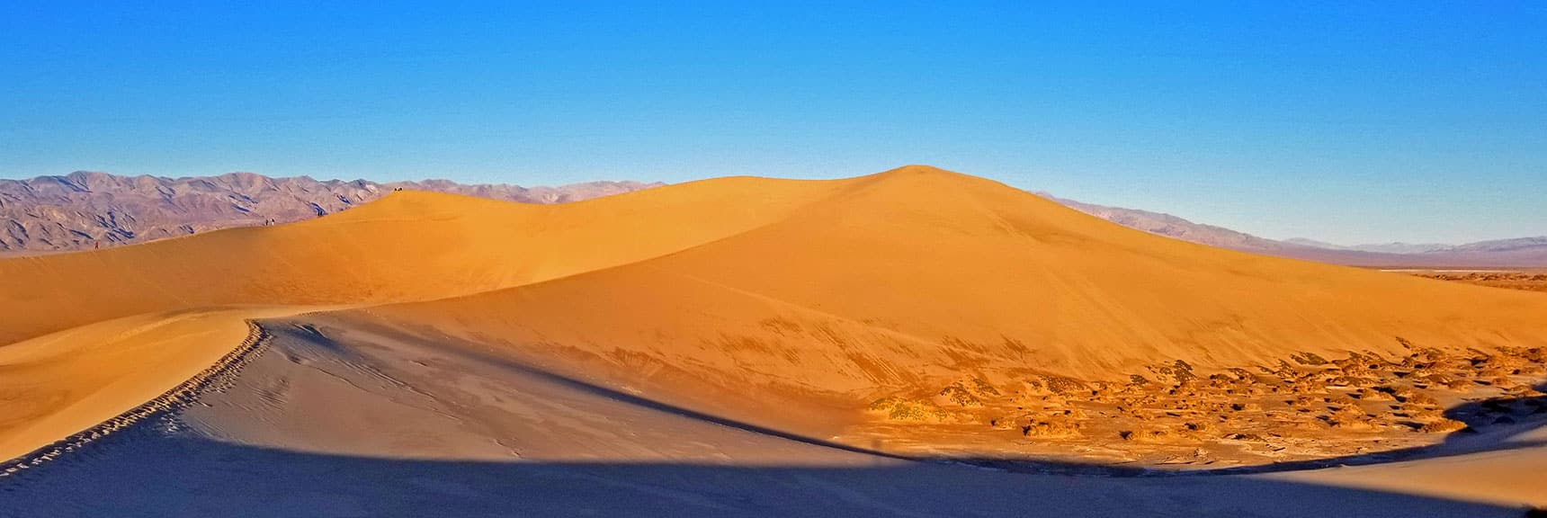 View Northwest | Mesquite Sand Dunes Sunrise | Death Valley National Park, California