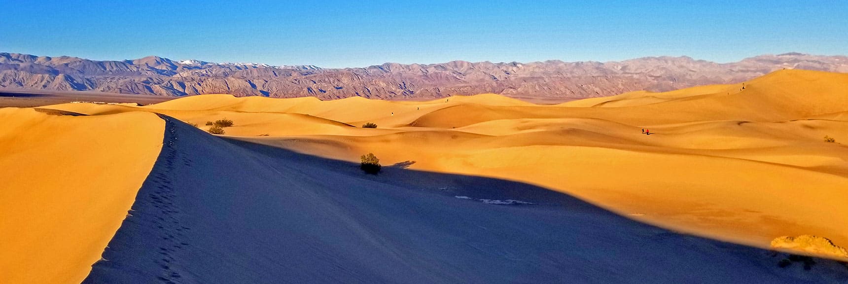 View Northwest | Mesquite Sand Dunes Sunrise | Death Valley National Park, California