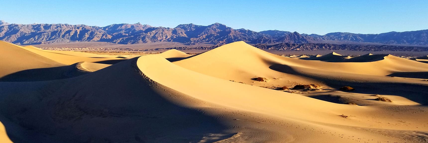 View Northeast | Mesquite Sand Dunes Sunrise | Death Valley National Park, California