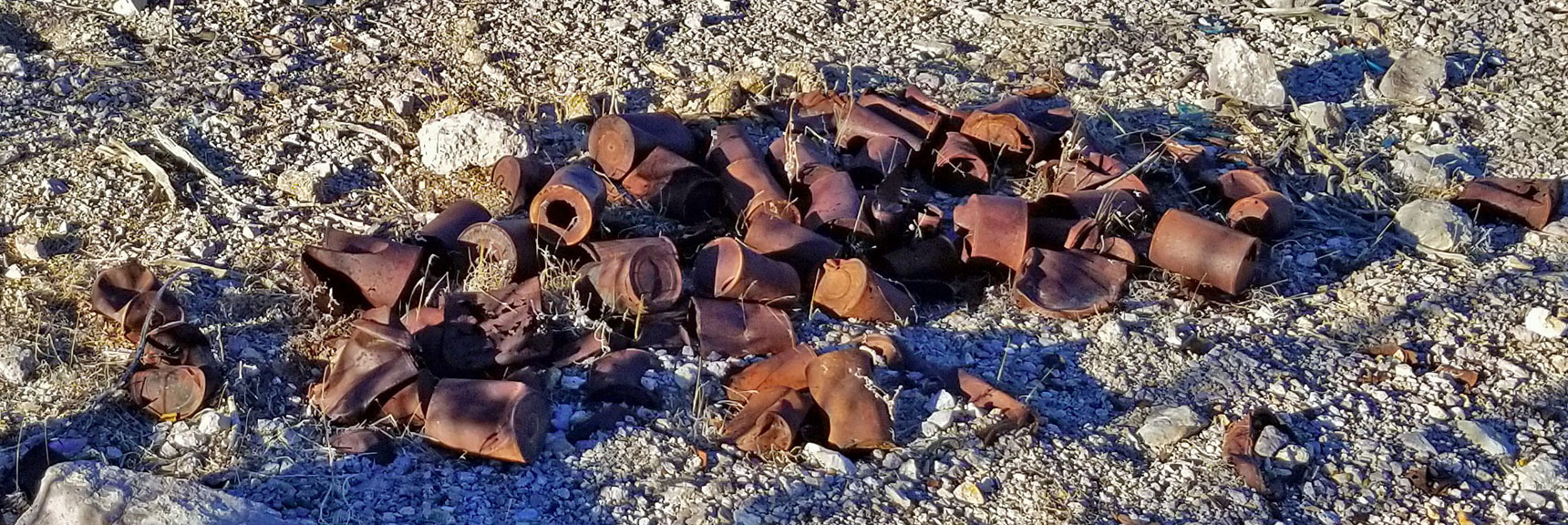 Many Scattered Rusty Cans. No City Sanitation Department? | Rhyolite Ghost Town | Death Valley Area, Nevada