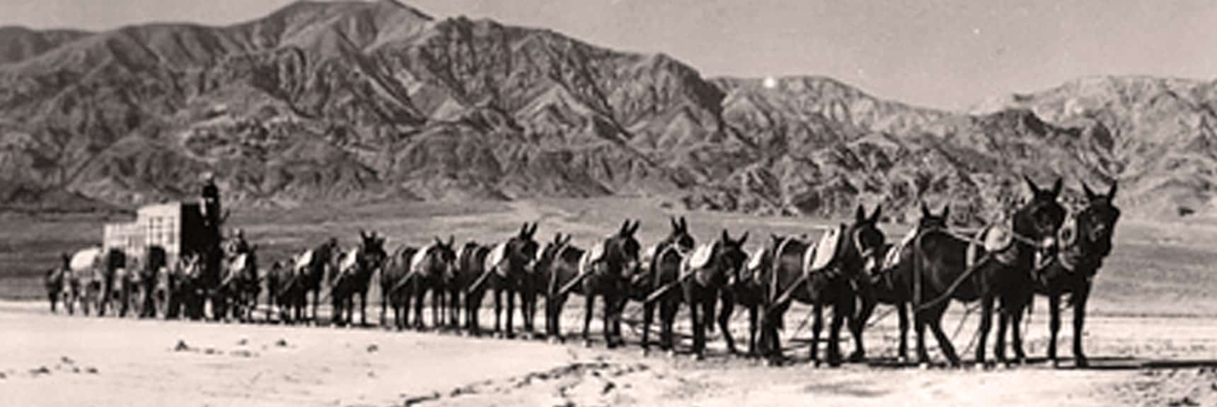 Twenty Mule Team Canyon | Death Valley, California