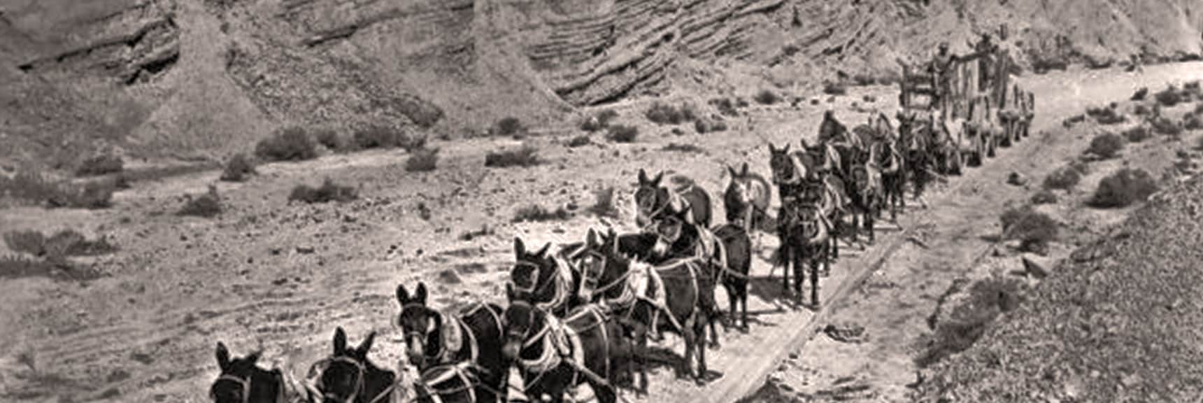 Twenty Mule Team Canyon | Death Valley, California