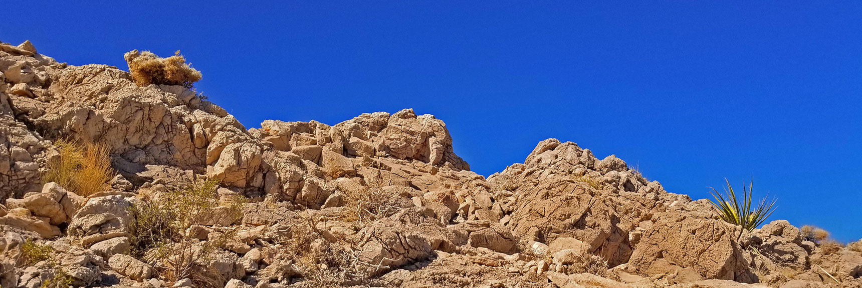 Just Below the Summit Ridge. Virtually Untouched Wilderness in Metropolitan Area. | Lone Mountain | Las Vegas, Nevada