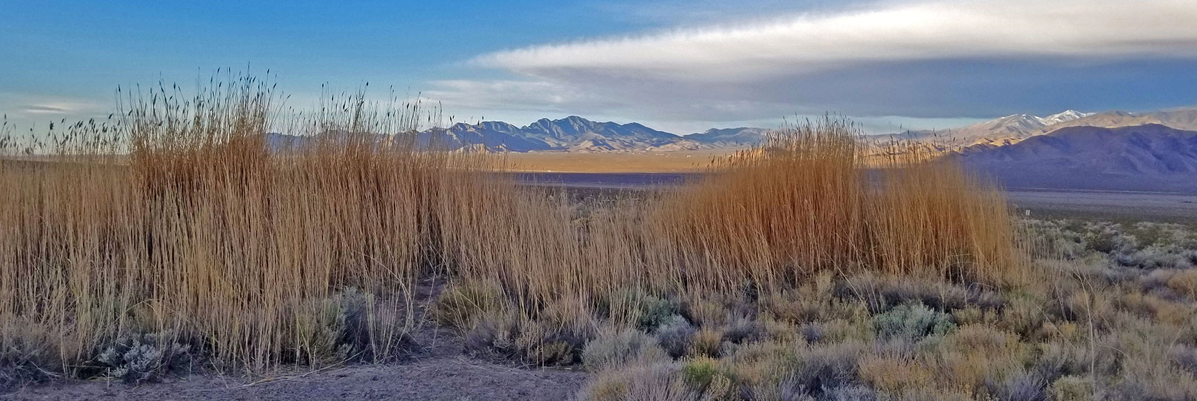 Surrounding Desert Barren Scrub Brush, La Madre Mountains Wilderness in Background | Fossil Ridge End to End | Sheep Range | Desert National Wildlife Refuge, Nevada