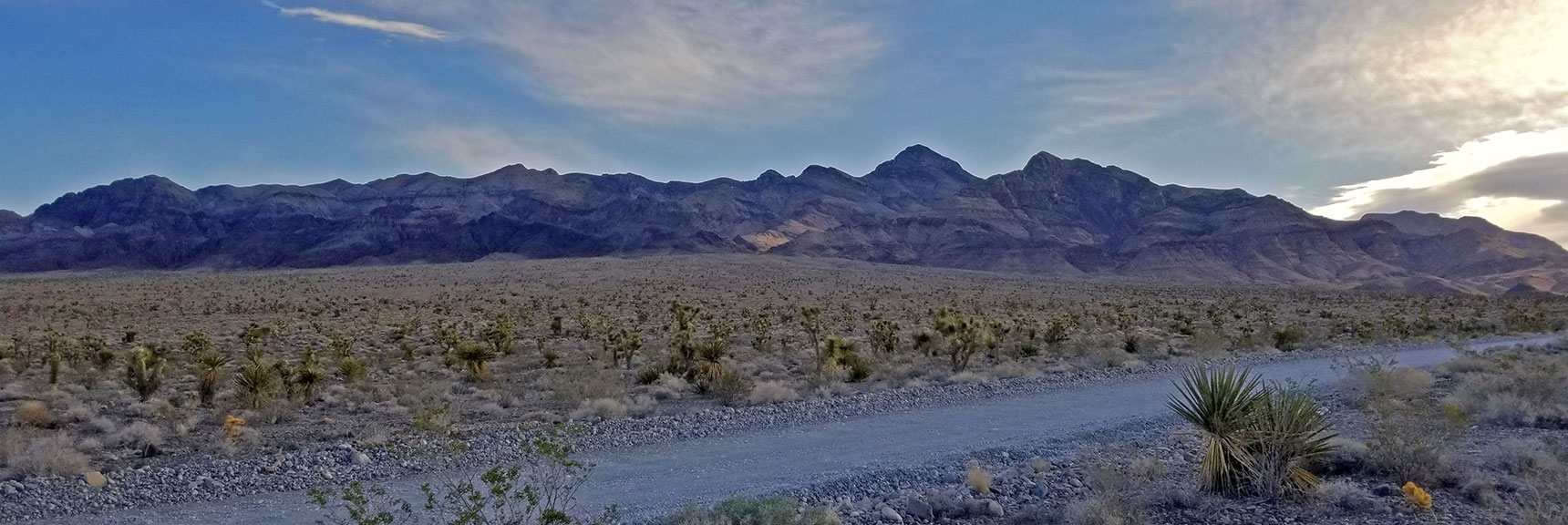 Early Morning View of Sheep Range from Mormon Well Road | Fossil Ridge End to End | Sheep Range | Desert National Wildlife Refuge, Nevada
