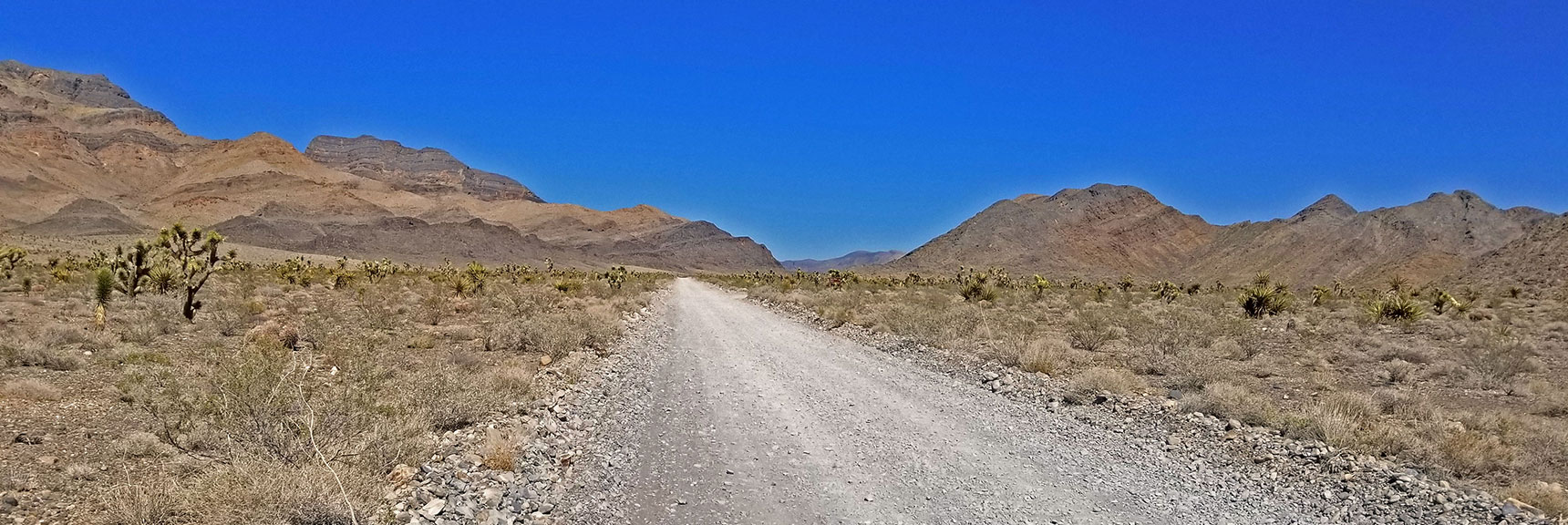 Mormon Well Road Heading Toward Yucca Gap | Fossil Ridge End to End | Sheep Range | Desert National Wildlife Refuge, Nevada