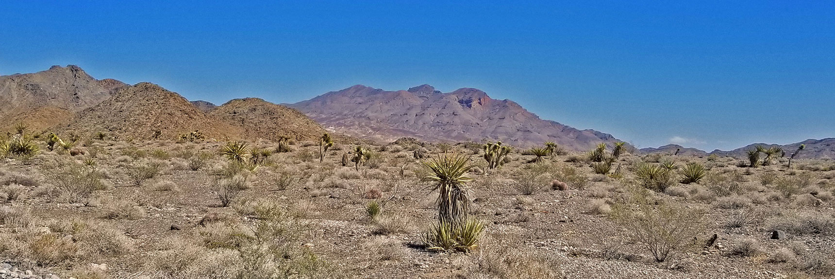 Gass Peak Viewed from Mormon Well Road | Fossil Ridge End to End | Sheep Range | Desert National Wildlife Refuge, Nevada