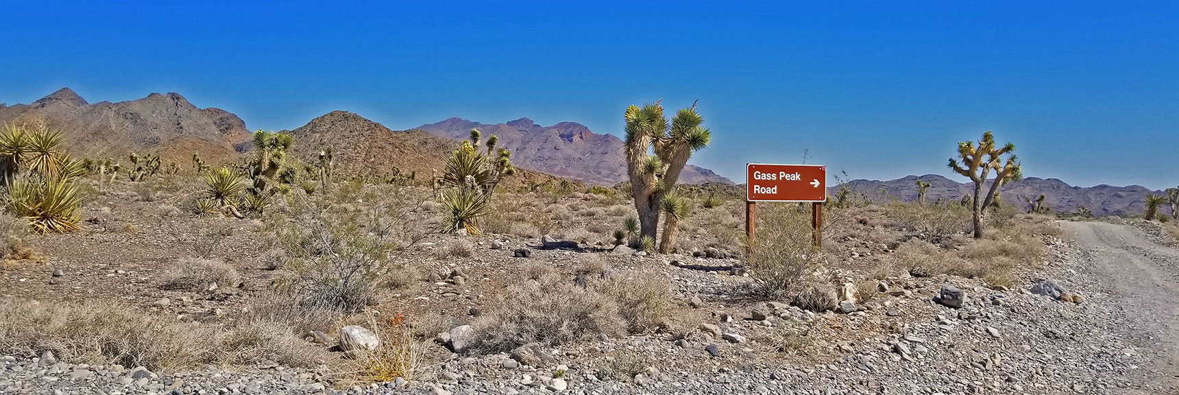 Intersection of Mormon Well Road and Gass Peak, About 5 Miles from DNWR Headquarters | Fossil Ridge End to End | Sheep Range | Desert National Wildlife Refuge, Nevada