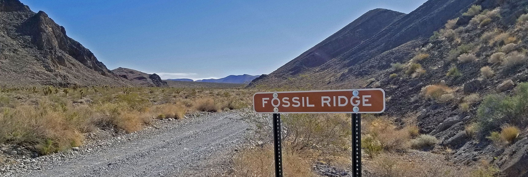 Entering Fossil Ridge Area in Yucca Gap | Fossil Ridge End to End | Sheep Range | Desert National Wildlife Refuge, Nevada