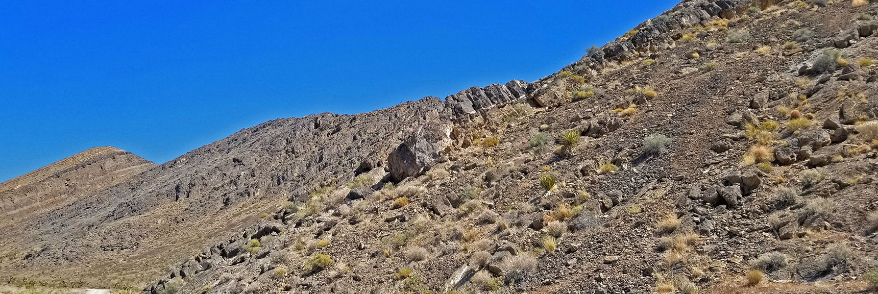 Western Section of Fossil Ridge. Dark Rock 250-500 Million Years Old | Fossil Ridge End to End | Sheep Range | Desert National Wildlife Refuge, Nevada