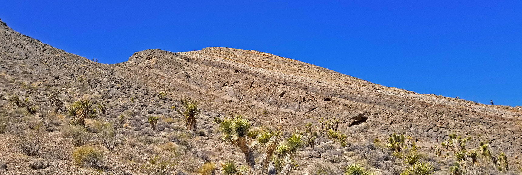 Could Follow Cliff Line to Summit and Back Down to Yucca Gap | Fossil Ridge End to End | Sheep Range | Desert National Wildlife Refuge, Nevada
