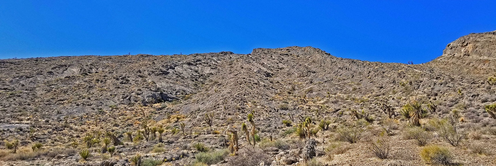 Better View Following Gully in Center of Photo. Will Ascend This Route | Fossil Ridge End to End | Sheep Range | Desert National Wildlife Refuge, Nevada