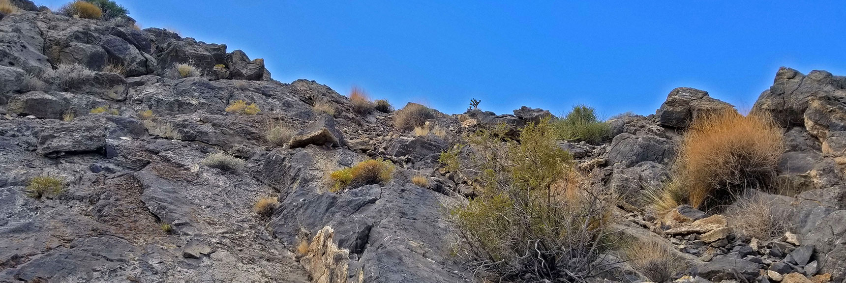 Ascending Fossil Ridge. Bands of Ancient Dark Rock, but No Fossils Here | Fossil Ridge End to End | Sheep Range | Desert National Wildlife Refuge, Nevada