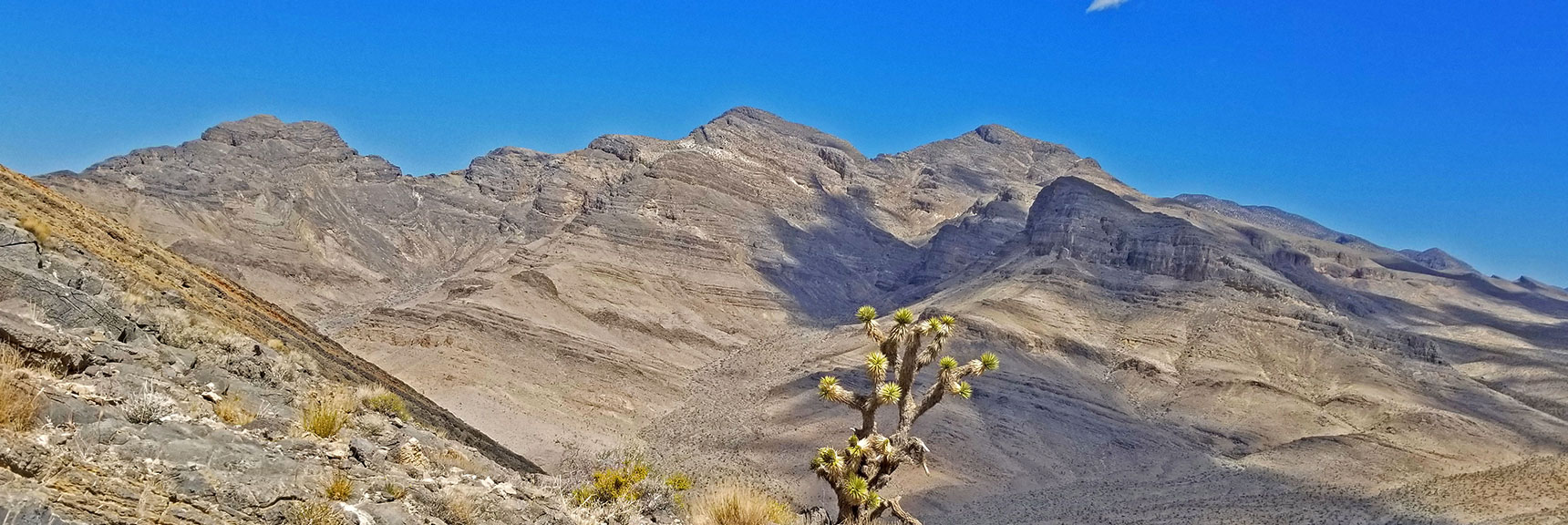 Near Fossil Ridge Summit, View of Southern Sheep Range | Fossil Ridge End to End | Sheep Range | Desert National Wildlife Refuge, Nevada