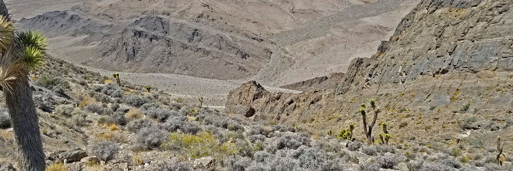 Entering Descent Gully Toward Yucca Gap. | Fossil Ridge End to End | Sheep Range | Desert National Wildlife Refuge, Nevada