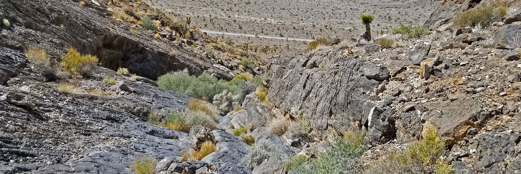 Descending Toward Yucca Gap. | Fossil Ridge End to End | Sheep Range | Desert National Wildlife Refuge, Nevada