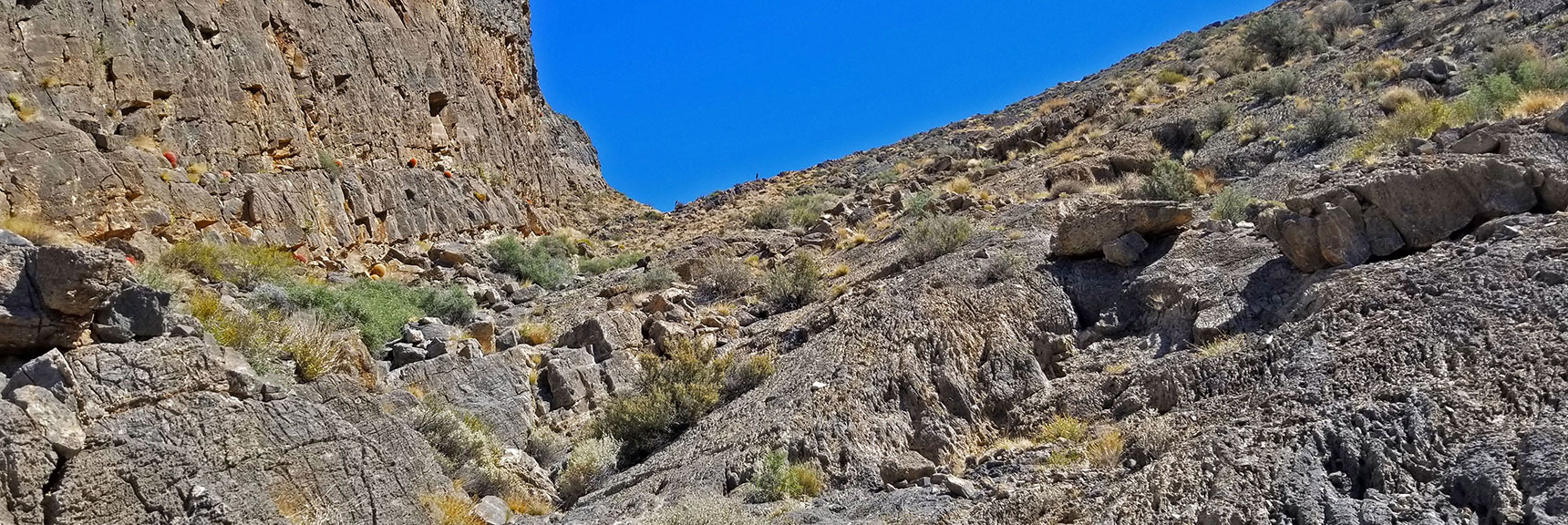 View Up This Descent Gully. Ancient Dark Rock But Few Fossils | Fossil Ridge End to End | Sheep Range | Desert National Wildlife Refuge, Nevada