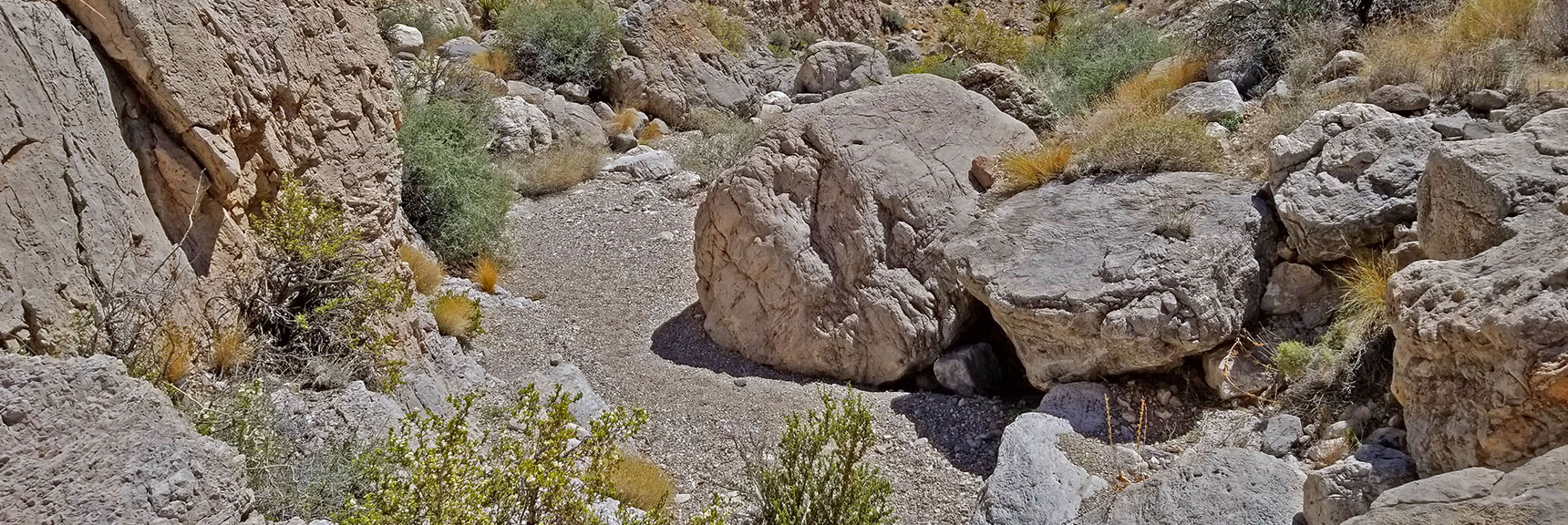 Approach Wash Choked with Boulders, But Not Too Bad...Just Weave Between | Little La Madre Mt, Little El Padre Mt, Little Burnt Peak | Near La Madre Mountains Wilderness, Nevada