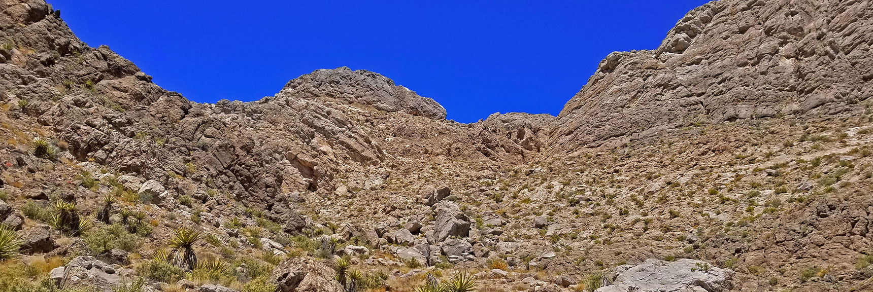 Closing in on the Saddle | Little La Madre Mt, Little El Padre Mt, Little Burnt Peak | Near La Madre Mountains Wilderness, Nevada