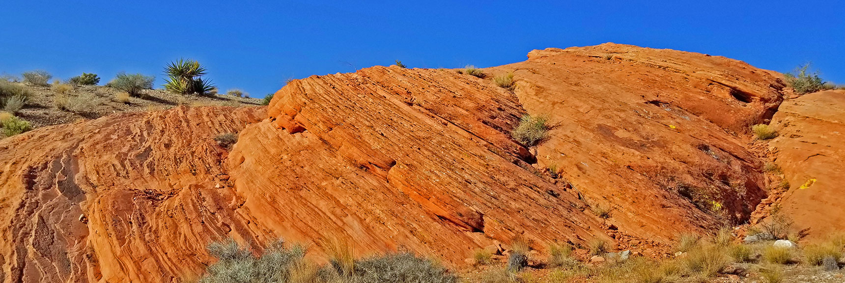Multiple Layers Pushed Up to and Angle | Little Red Rock Las Vegas, Nevada, Near La Madre Mountains Wilderness
