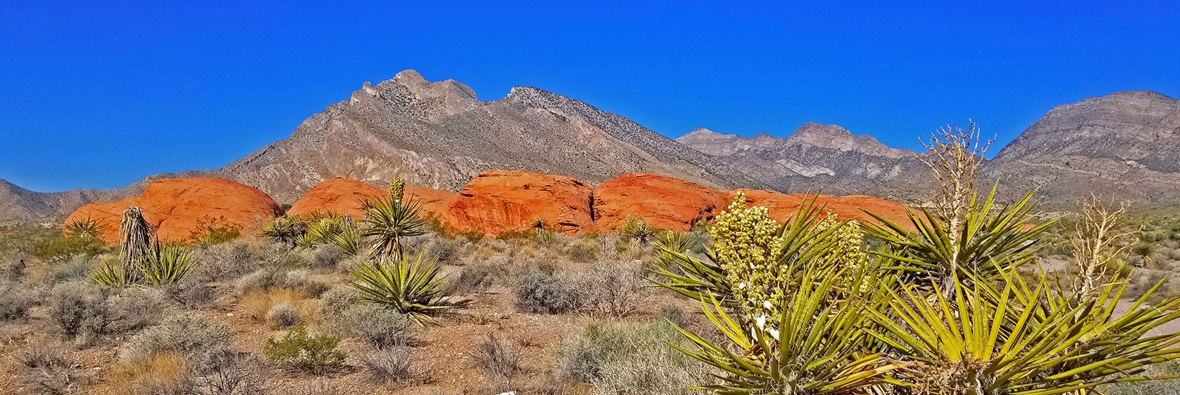 Continuing Toward Base of Damsel Peak, Another Group of Red Rock Formations | Little Red Rock Las Vegas, Nevada, Near La Madre Mountains Wilderness