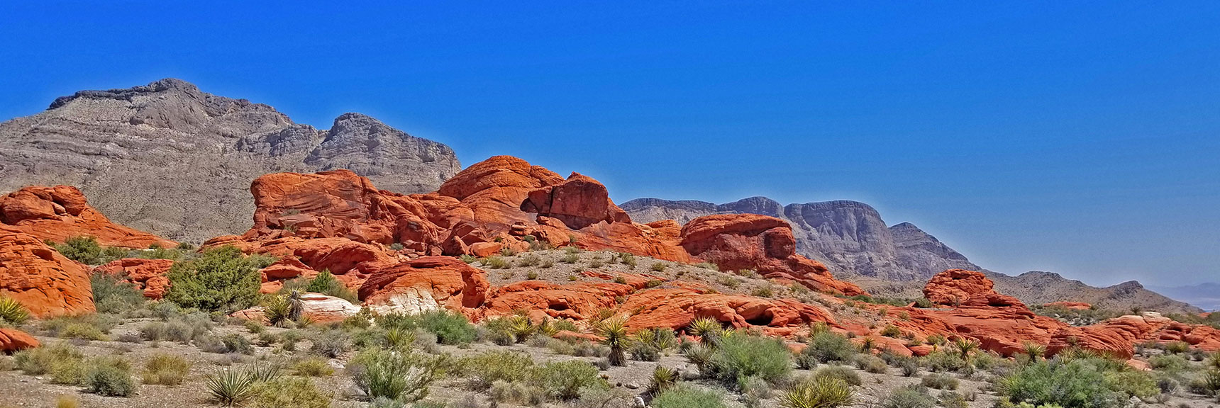 View North Toward Canyon Rim | Little Red Rock Las Vegas, Nevada, Near La Madre Mountains Wilderness