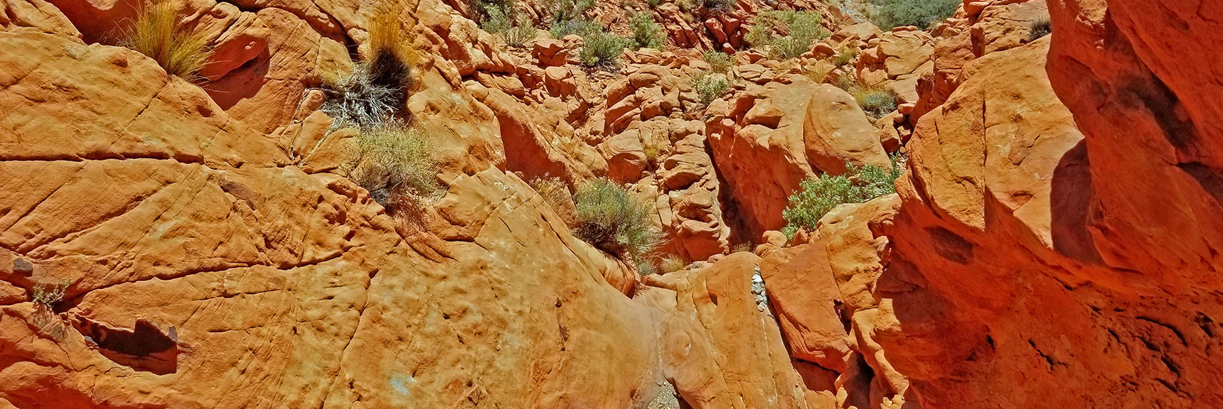 Descending a Gap Between Red Rock Cliffs | Little Red Rock Las Vegas, Nevada, Near La Madre Mountains Wilderness