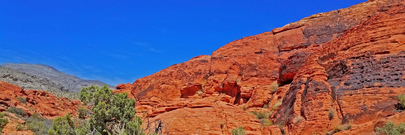 More High Cliffs | Little Red Rock Las Vegas, Nevada, Near La Madre Mountains Wilderness