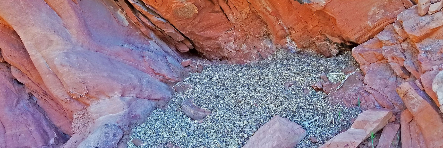 Another Small Animal Hole in Rocks Marked by Vegetative Matter at Opening | Little Red Rock Las Vegas, Nevada, Near La Madre Mountains Wilderness